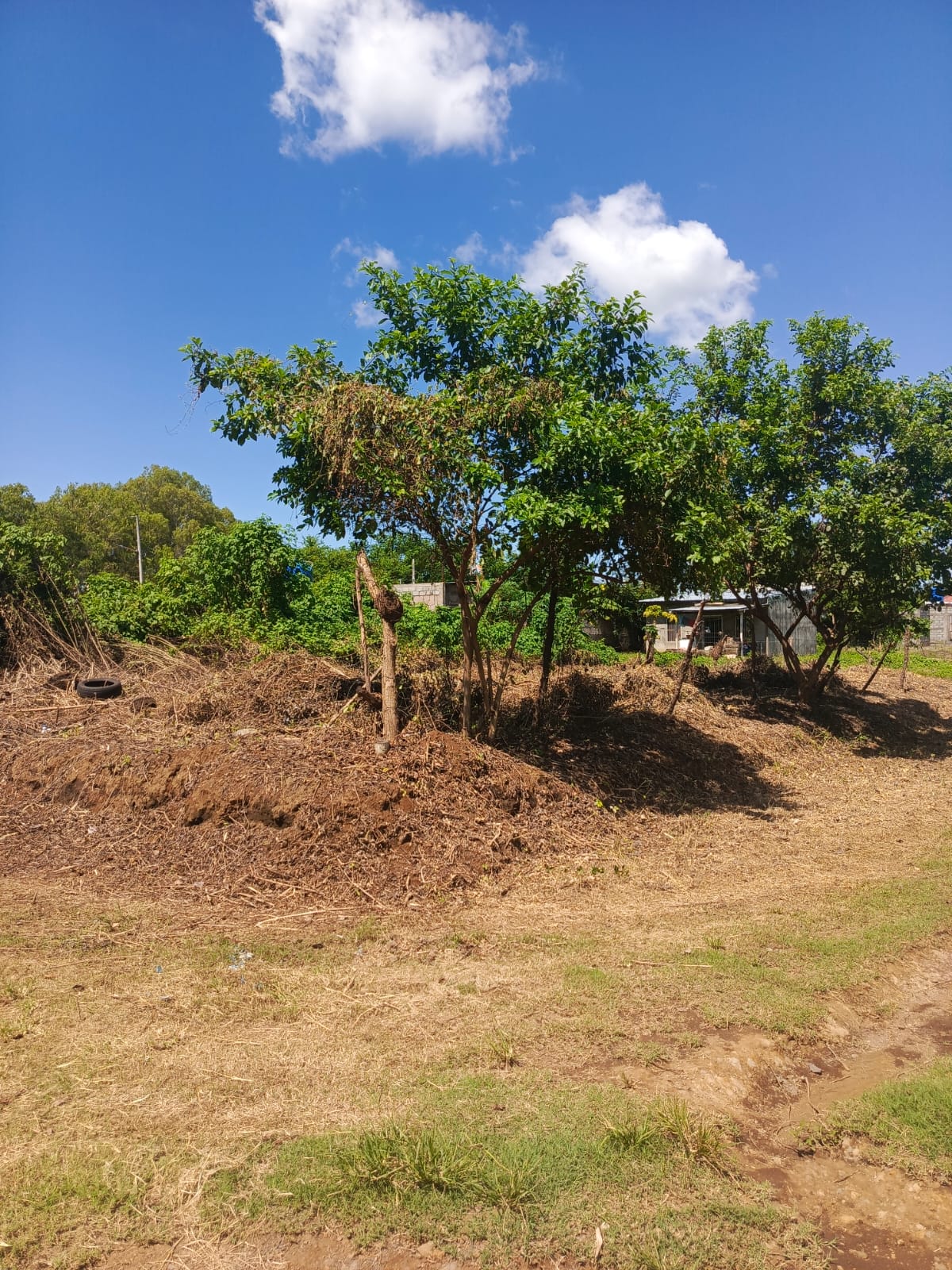 Lote de Terreno Km 14 Carretera a Masaya, Veracruz