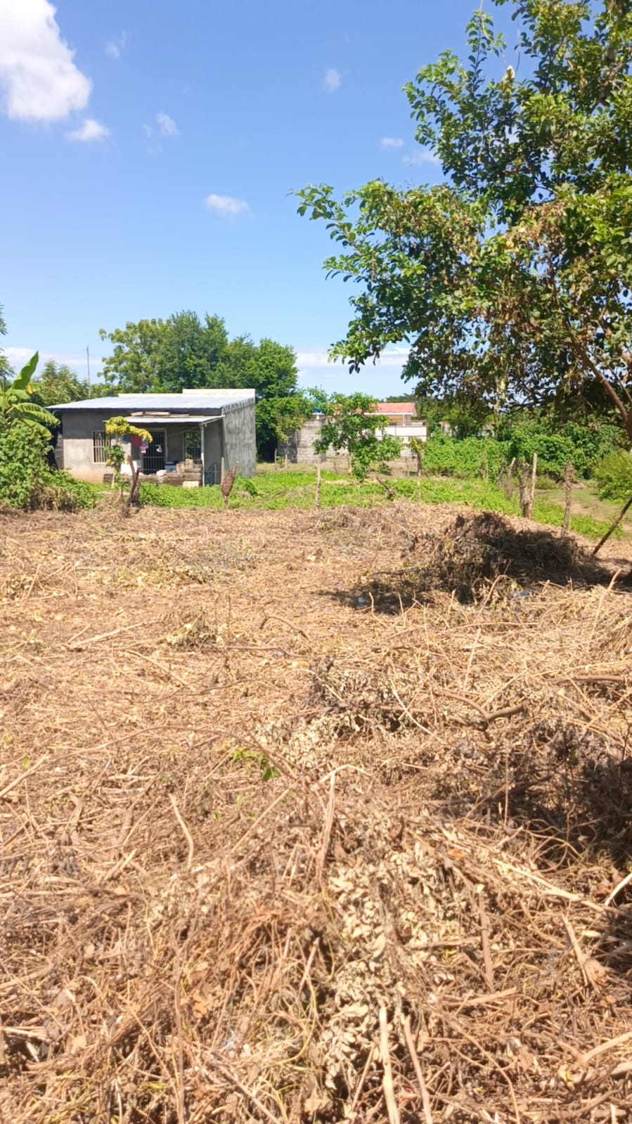 Lote de Terreno Km 14 Carretera a Masaya, Veracruz