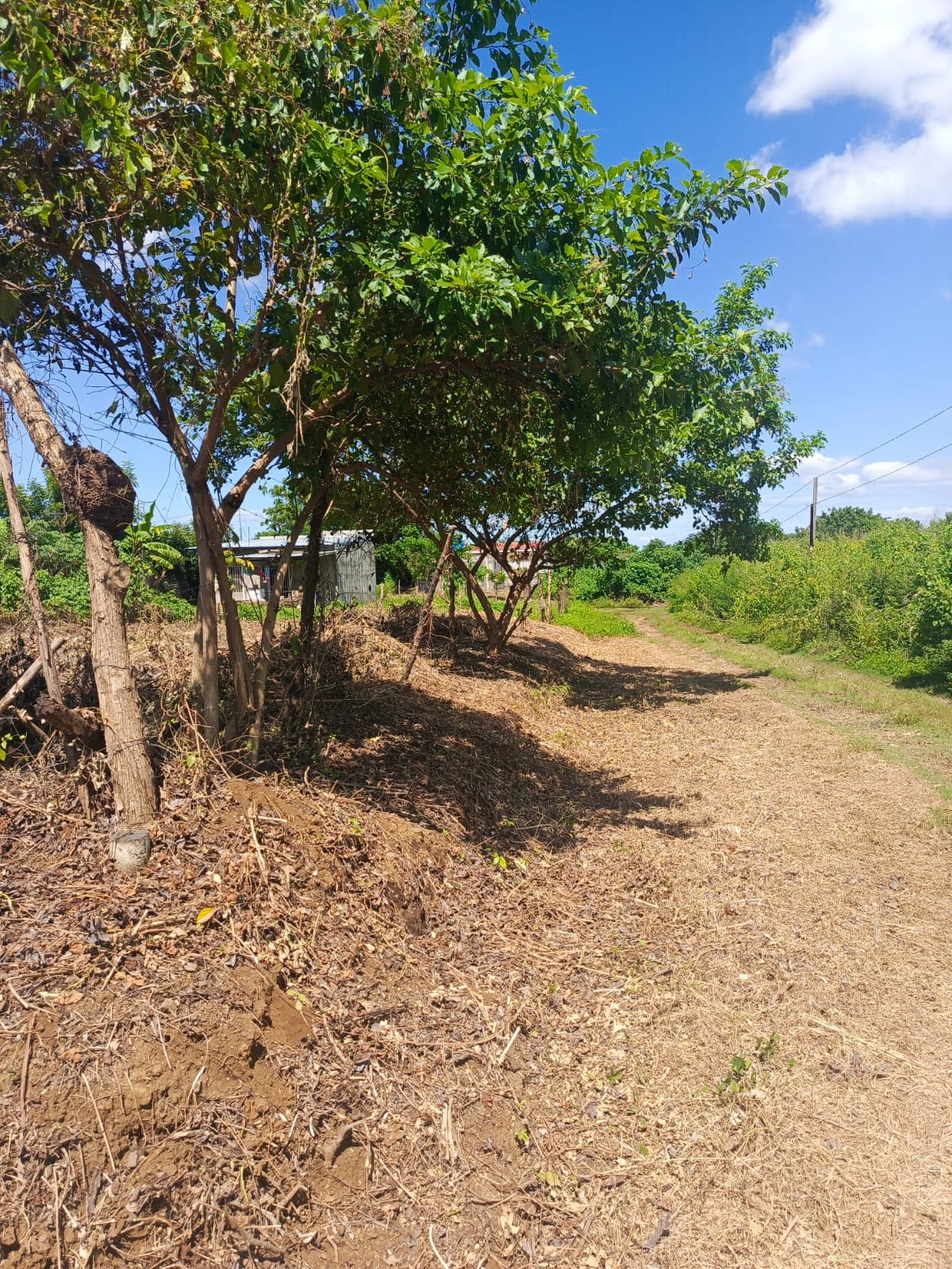 Lote de Terreno Km 14 Carretera a Masaya, Veracruz