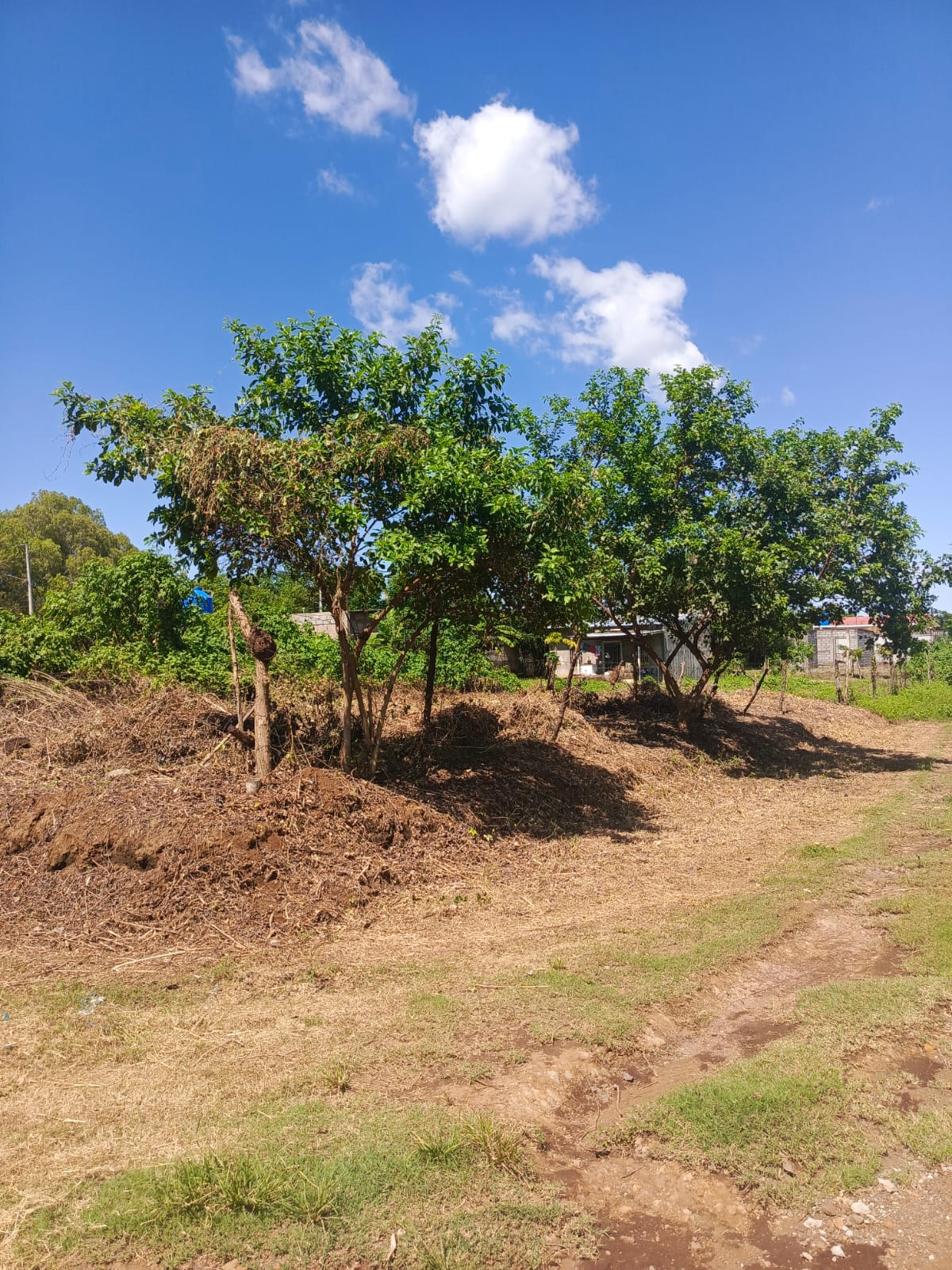 Lote de Terreno Km 14 Carretera a Masaya, Veracruz