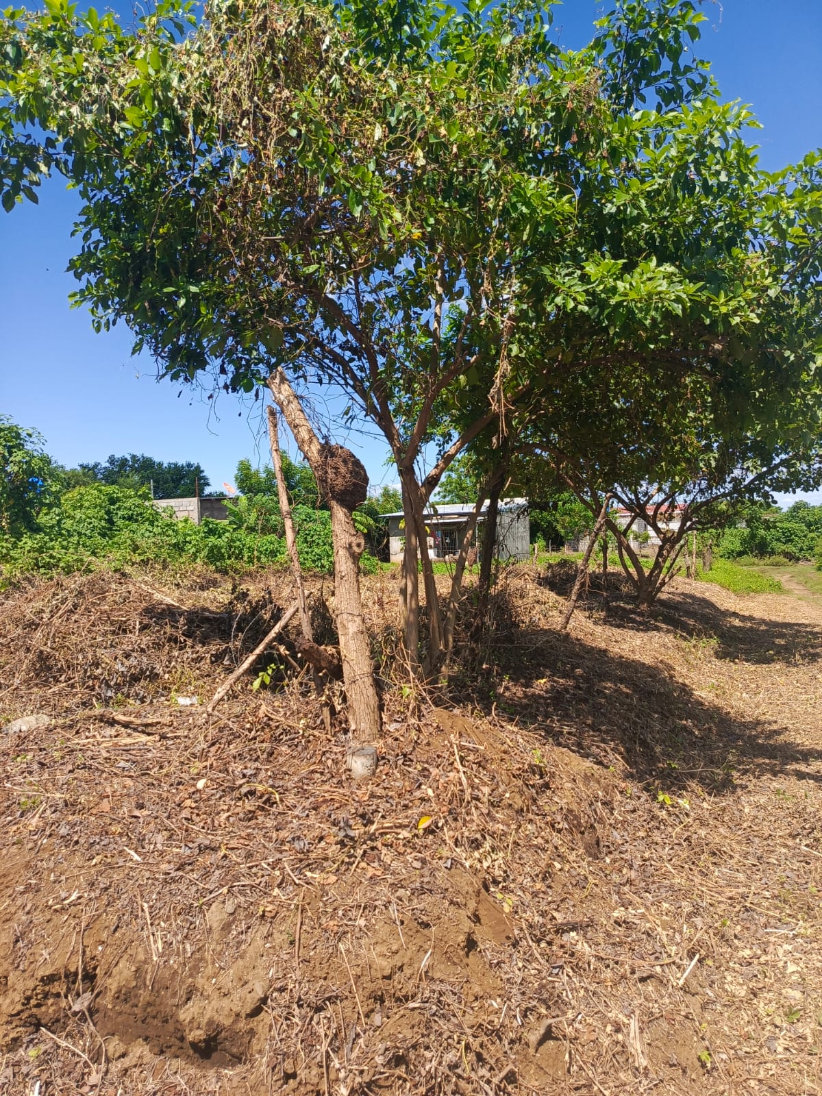 Lote de Terreno Km 14 Carretera a Masaya, Veracruz