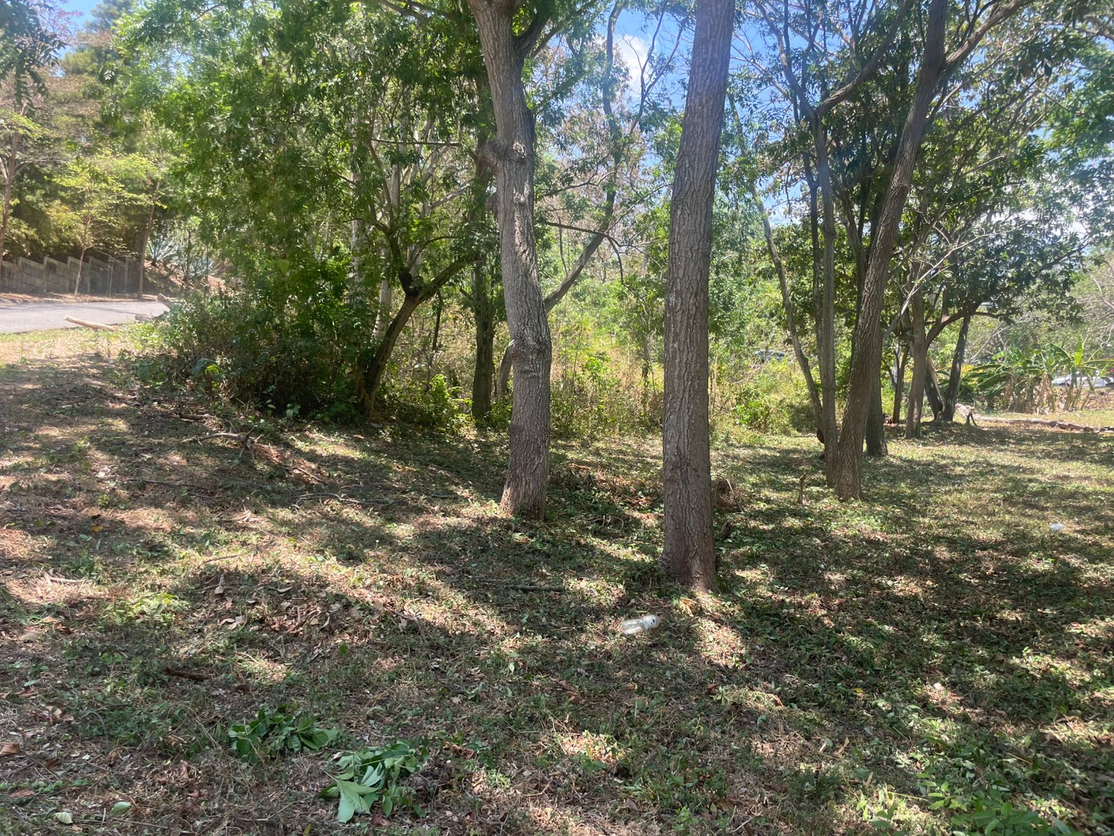 Terreno esquinero en venta en Balcones de Santo Domingo🌳✨