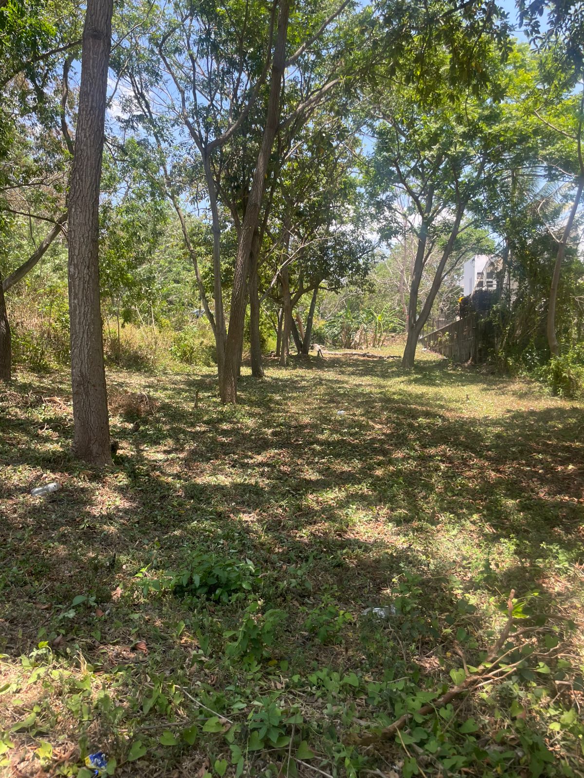 Terreno esquinero en venta en Balcones de Santo Domingo🌳✨