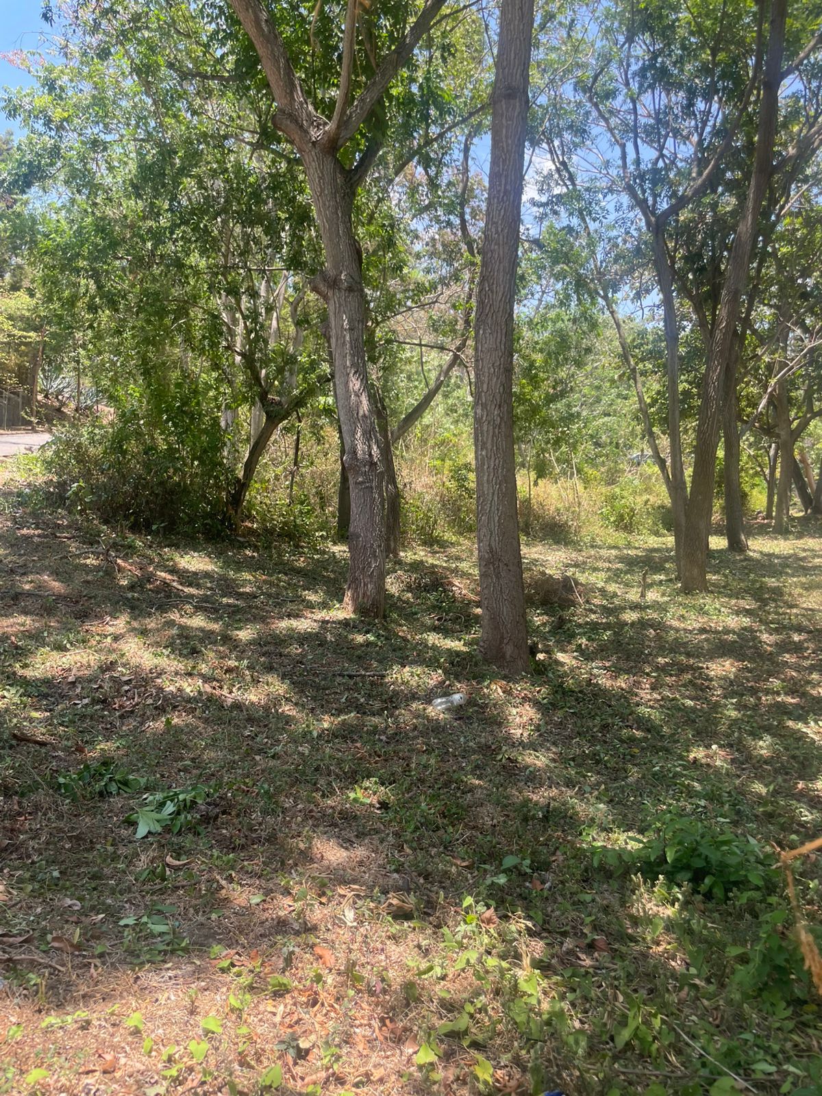 Terreno esquinero en venta en Balcones de Santo Domingo🌳✨